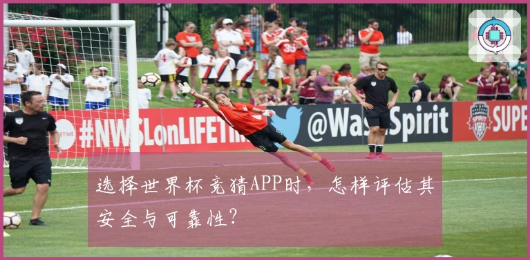 选择世界杯竞猜APP时，怎样评估其安全与可靠性？