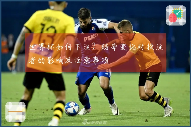 世界杯如何下注？赔率变化对投注者的影响及注意事项