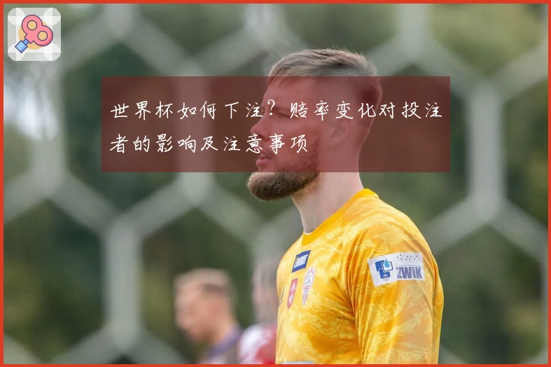 世界杯如何下注？赔率变化对投注者的影响及注意事项