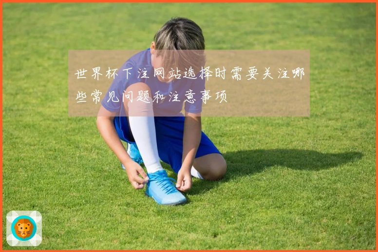 世界杯下注网站选择时需要关注哪些常见问题和注意事项